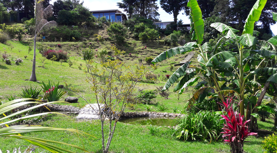 Costa Rica - Alajuela - Volcan Poas - Le jardin et en haut du terrain les habitations - Vue 2