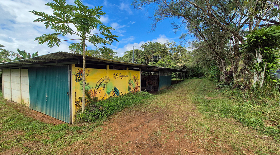 Costa Rica - Sud - Coto - Brus - Finca Caf Organico - Infrastructures - vue 7