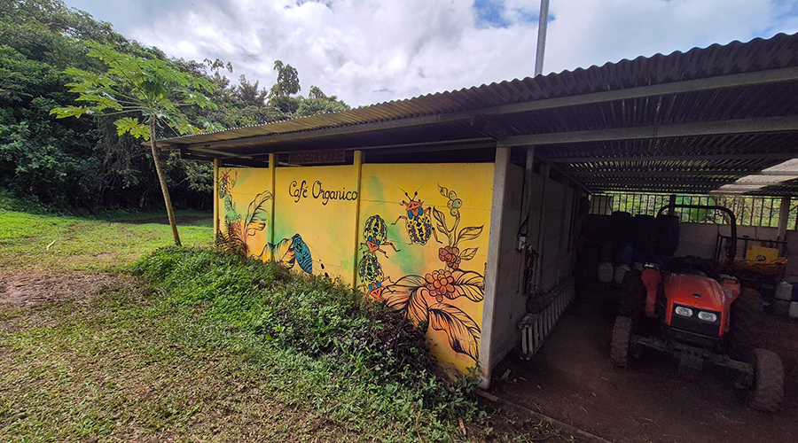 Costa Rica - Sud - Coto - Brus - Finca Caf Organico - Infrastructures - vue 8
