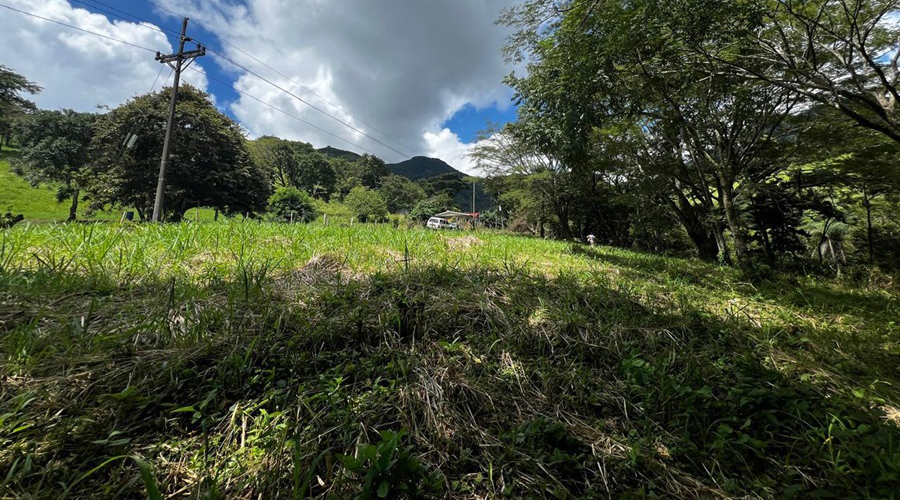 Costa Rica - Guanacaste - Bijagua - Finca Rio Chiquito - Partie plate - haut - vue 1