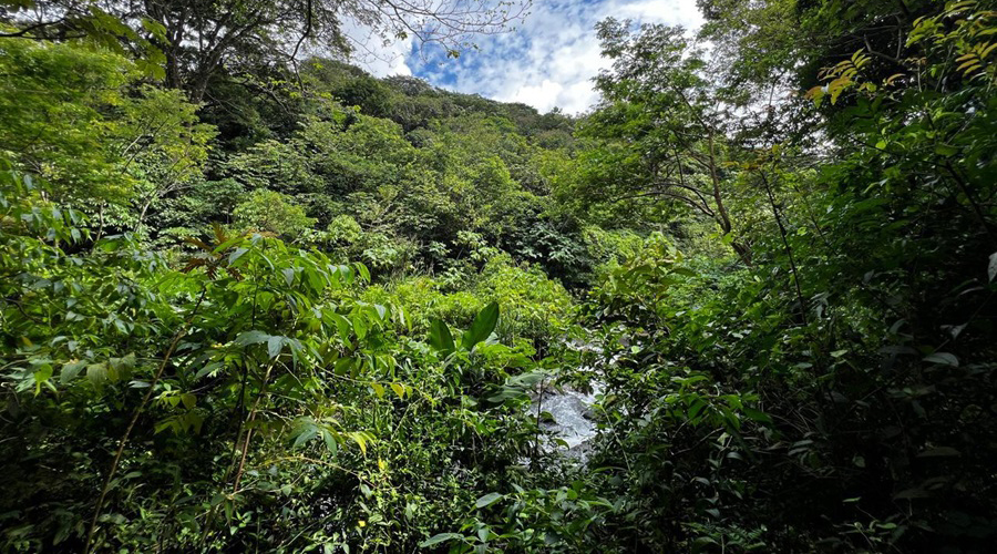Costa Rica - Guanacaste - Bijagua - Finca Rio Chiquito - Rivire - vue 2