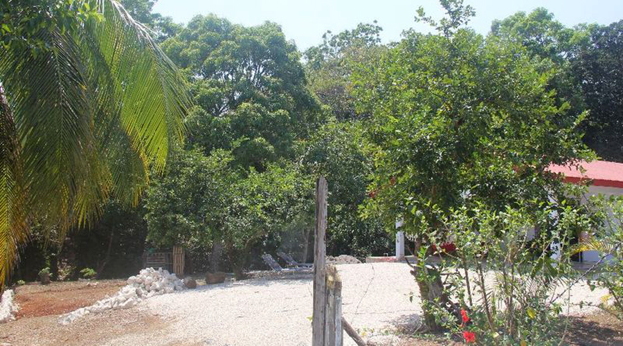 Costa Rica - Guanacaste - Carillo - Casa ML - Le jardin - Vue 1