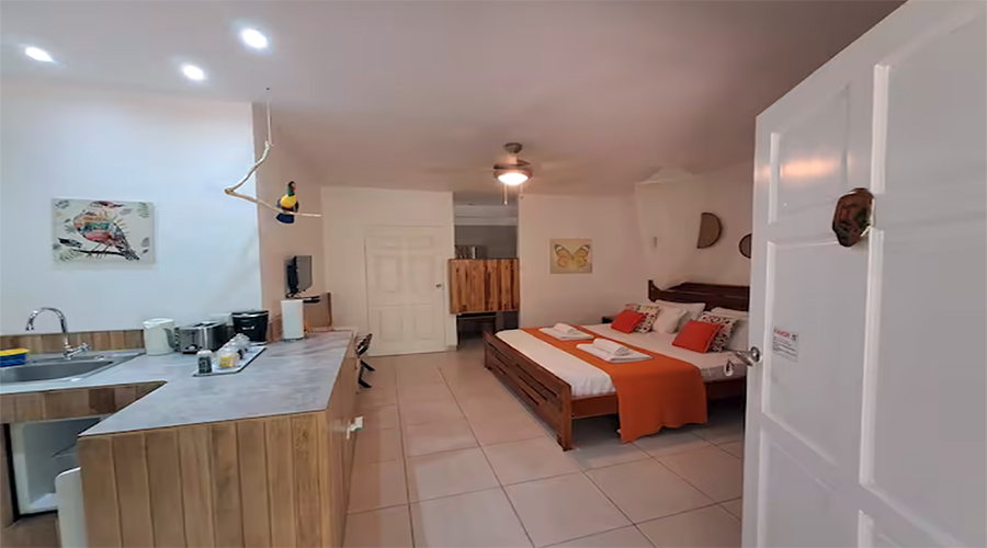 Costa Rica - Tamarindo - Casa Mariposa - Intrieur - Appartement 1 - Espace Principal - Vue 1