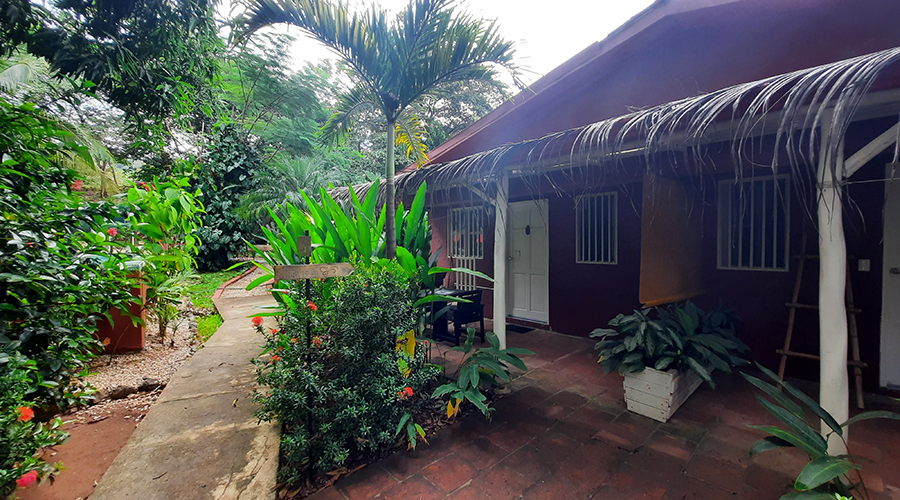 Costa Rica - Tamarindo - Casa Mariposa - Extrieur - Studio 1 - Jardin - Vue 2