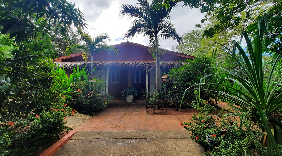 Costa Rica - Tamarindo - Casa Mariposa - Extrieur - Studio 1 - Jardin - Vue 1