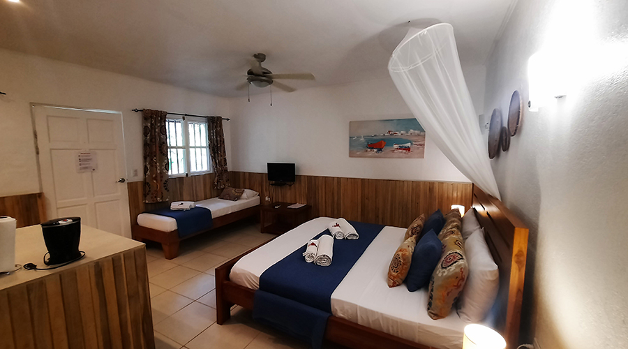 Costa Rica - Tamarindo - Casa Mariposa - Intrieur - Studio 1 - Pice Principale - Vue 1