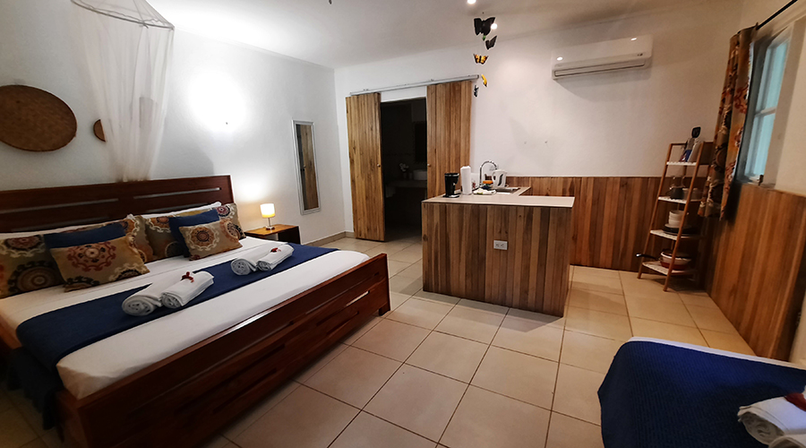 Costa Rica - Tamarindo - Casa Mariposa - Intrieur - Studio 1 - Pice Principale - Vue 2