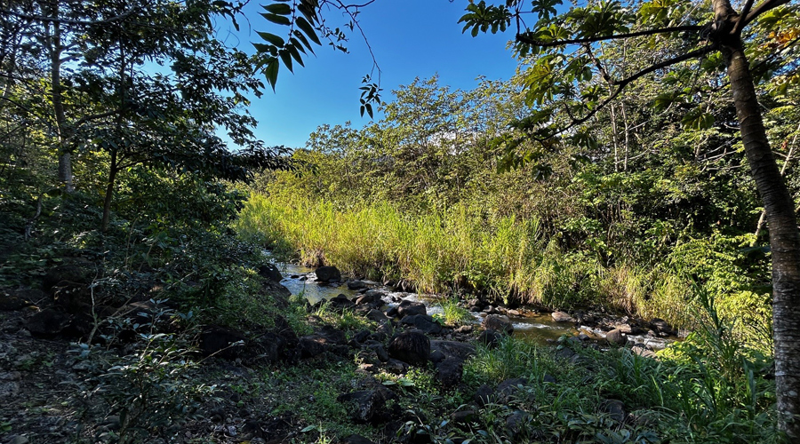 Costa Rica - Guanacaste - Moyenne montagne - Las Rocas - La rivière - 1