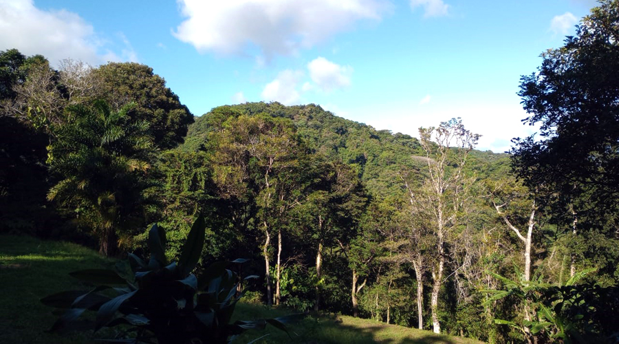 Zone de moyenne montagne, Parc National Tenorio, maison et sa lagune - Vue 1