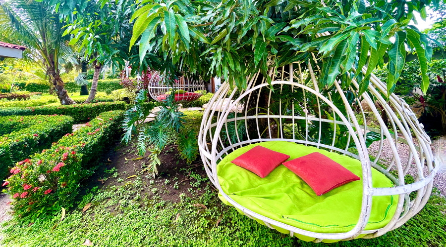 Costa Rica, Guanacaste, Playa Potrero - B&B (1+3) - Le jardin - Vue 9