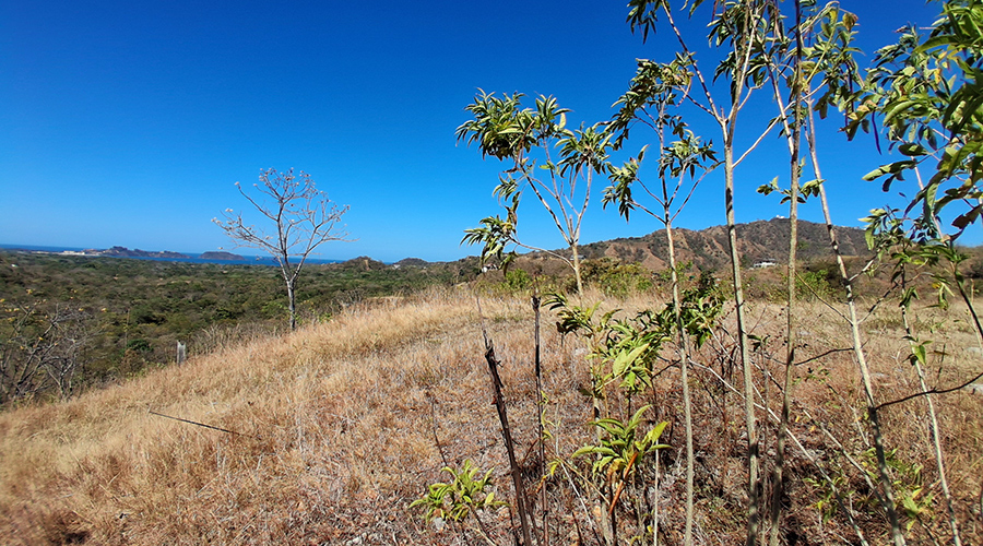Costa Rica - Potrero - Potrero 5770 - Terrain - Vue Mer - Vue 2