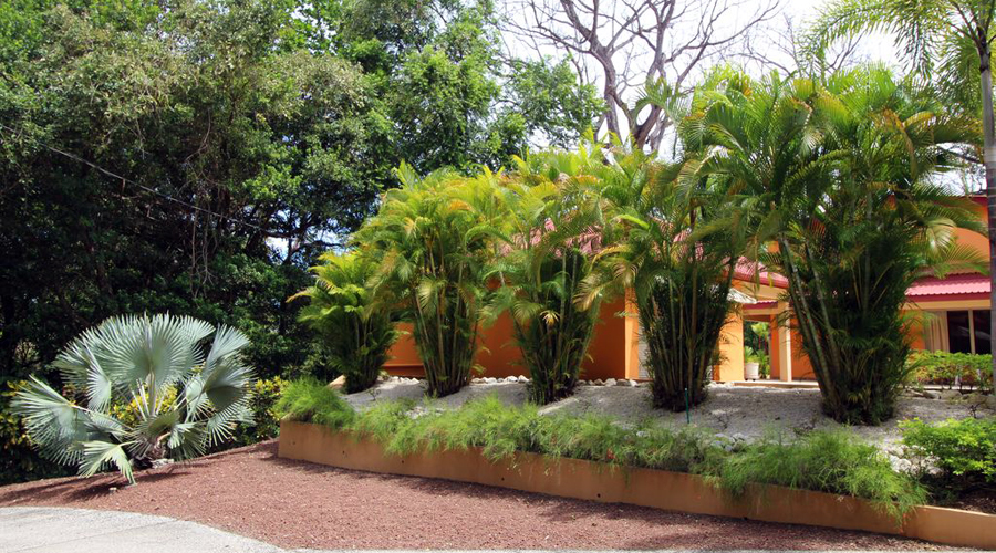 Costa Rica - Guanacaste - Samara - Casa Rancho Grande - La maison - Vue 8