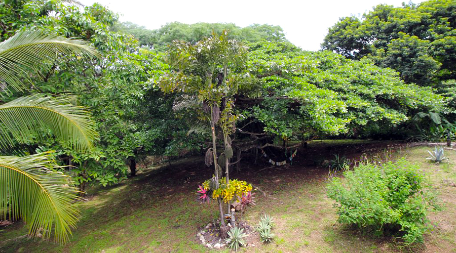 Costa Rica - Guanacaste - Samara - Casa Romance - Le jardin