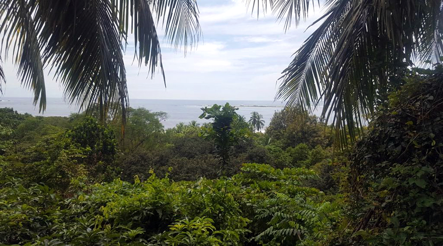 Costa Rica - Guanacaste - Samara - Condo SAM Acceso a Playa - Vue mer 2
