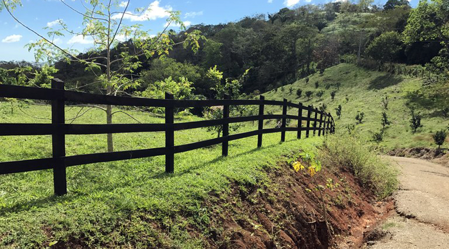 Costa Rica - Guanacaste - Proprit 7 hectares et 2 maisons - Les chemins internes - Vue 4