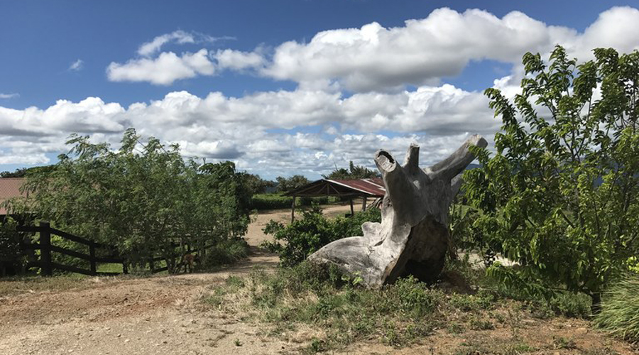 Costa Rica - Guanacaste - Proprit 7 hectares et 2 maisons - Le rancho