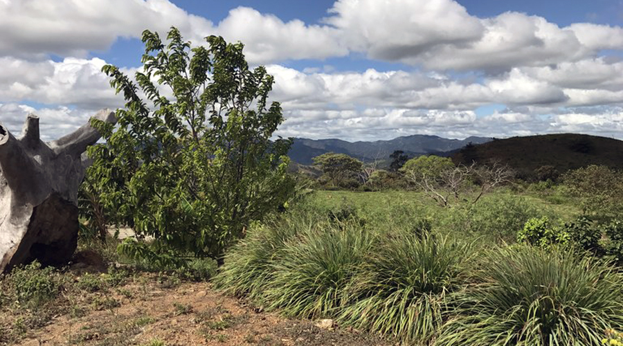 Costa Rica - Guanacaste - Proprit 7 hectares et 2 maisons - Le terrain - Vue 6