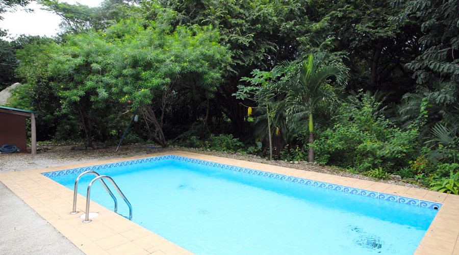 Costa Rica - Guanacaste - Samara - Villa Patio U - La piscine et un aperu de la zone boise
