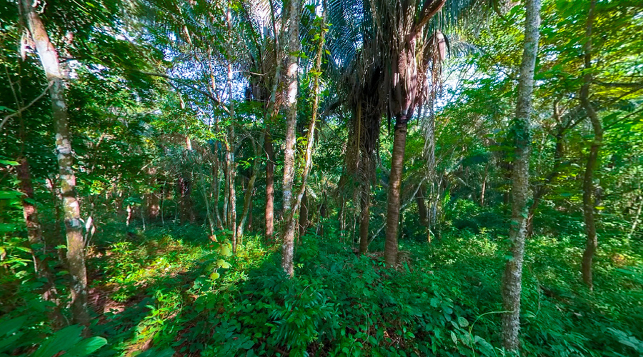 Costa Rica, Guanacaste, San Juanillo, Casa Privada - Vue sur le terrain encore constructible