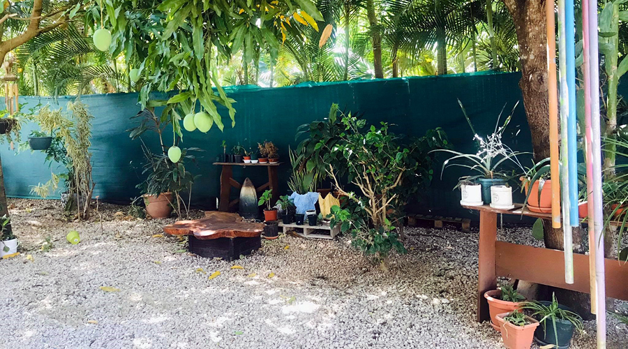 Costa Rica - Guanacaste - Tamarindo - Casa mi Vecina - Le jardin - Vue 2