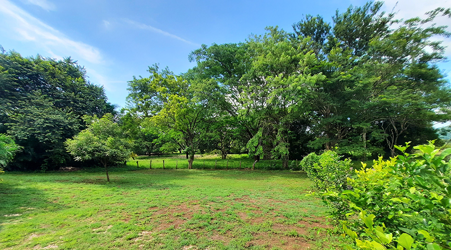 Costa Rica - Guanacaste - Tamarindo - Rancho Castillo - Jardin - vue 2