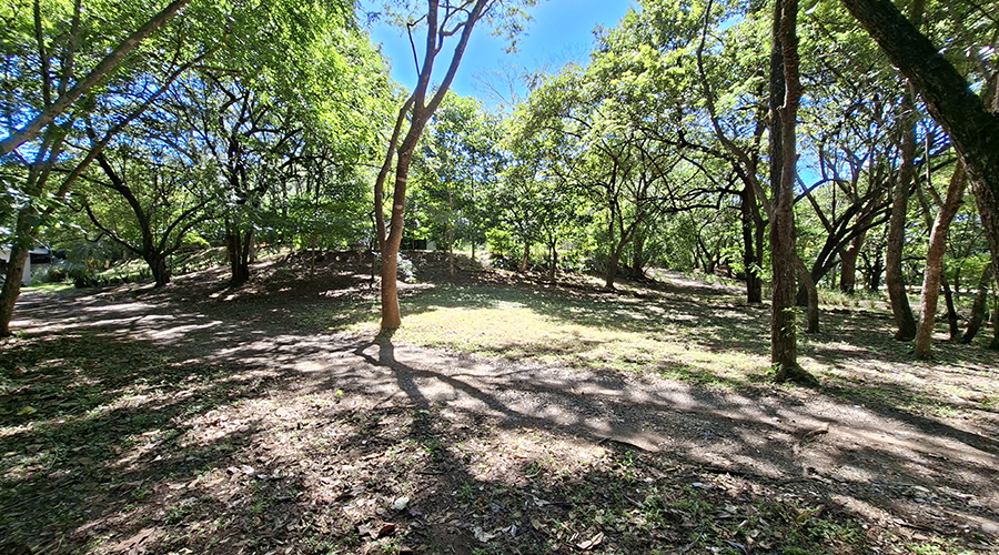 Costa Rica - Guanacaste - Tamarindo - Villa Panama - Ext�rieur - Terrain - Vue 1