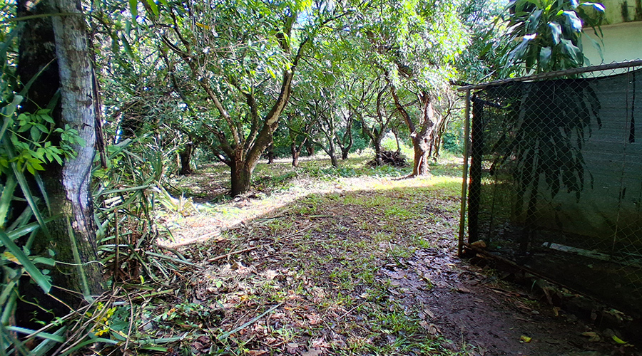  Costa Rica - Guanacaste - Tamarindo - Terrain Villa 2048 - Entr�e Terrain - Vue 1