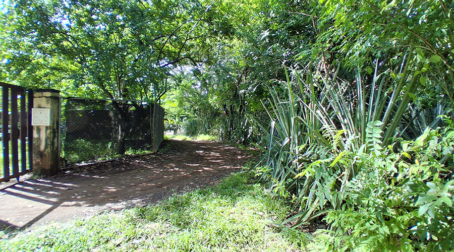  Costa Rica - Guanacaste - Tamarindo - Terrain Villa 2048 - Entr�e Terrain - Vue 2
