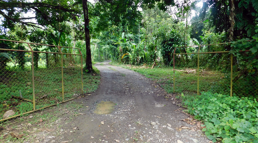Costa Rica - Province de Limon, Cahuita - Casa Caribe -  - Les chemins des alentours - 2