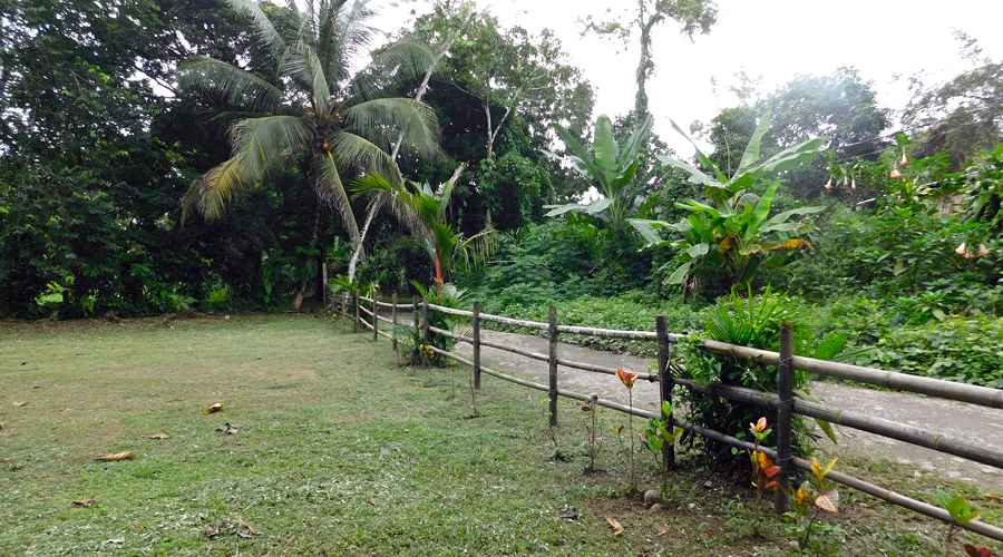 Costa Rica - Province de Limon, Cahuita - Casa Caribe - L'avant du terrain