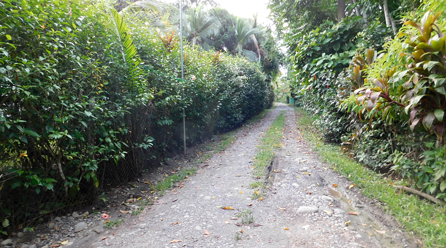 Costa Rica - Limon - Cahuita - Casa Serenidad - Le chemin qui mène à la maison