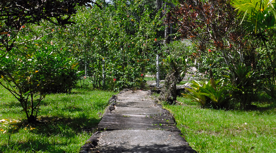 Costa Rica - Limon - Cahuita - Casa Serenidad - Le jardin - Vue 1