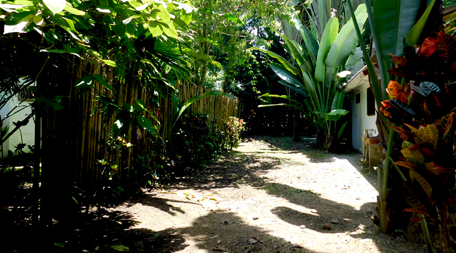  Costa Rica - Cahuita - Petite maison 1 chambre - Le jardin