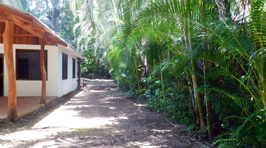 Costa Rica - Cahuita - Petite maison 1 chambre - La maison - Vue 3