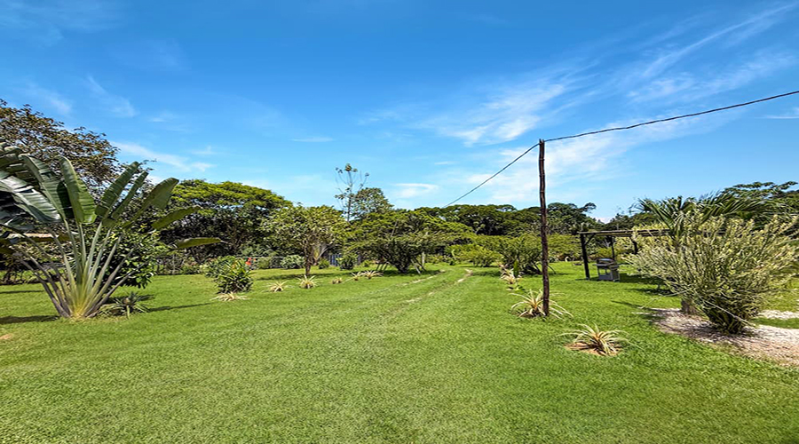 Costa Rica - Limon - San Miguel - Casa Caraibes - Extrieur - Jardin - Vue 1
