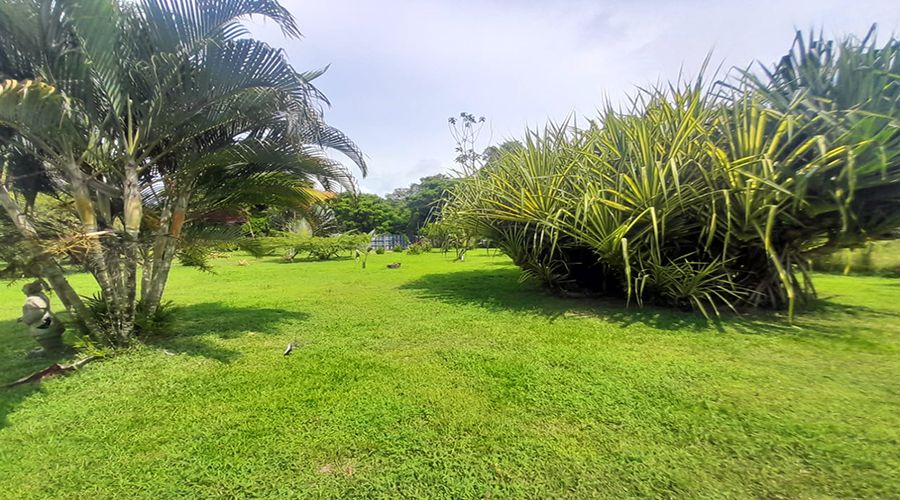 Costa Rica - Limon - San Miguel - Casa Caraibes - Extrieur - Jardin - Vue 2