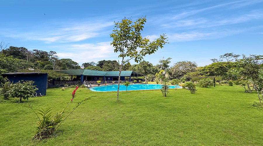 Costa Rica - Limon - San Miguel - Casa Caraibes - Extrieur - Piscine - Vue 2