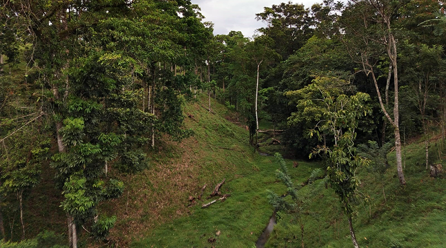 Costa Rica - Bijagua de Upala - Finca Higueron - Rivire - vue 4