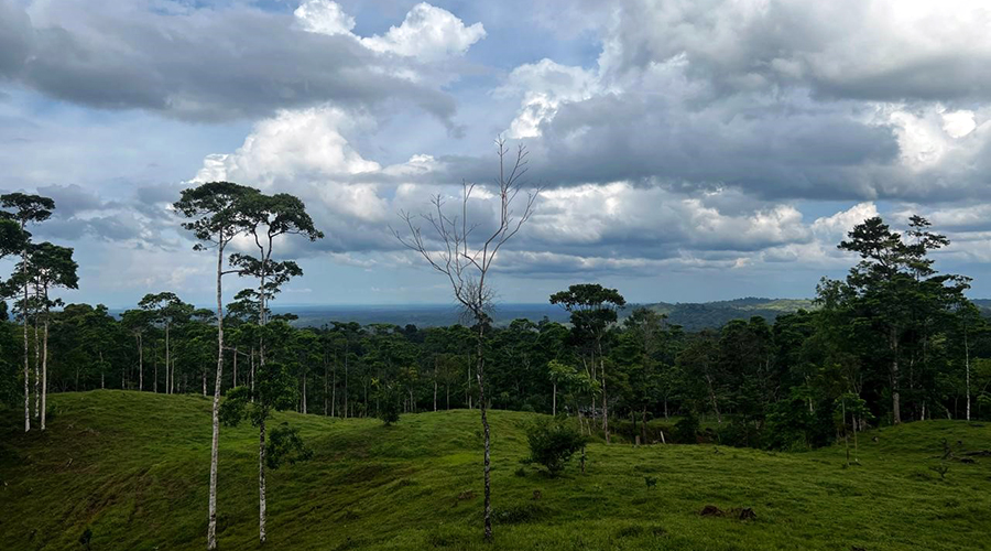 Costa Rica - Bijagua de Upala - Finca Higueron - Vue Lac Nicaragua