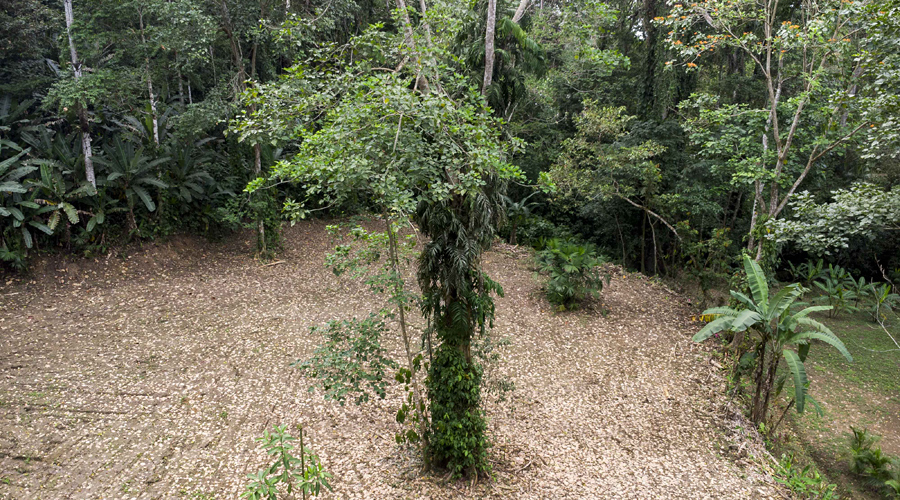 Costa Rica, Province de Limon, Cahuita, Terrain Selva de Lilan - Vue drone 1
