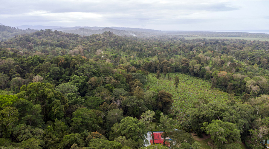 Costa Rica, Province de Limon, Cahuita, Terrain Selva de Lilan - Vue drone - Nord Est