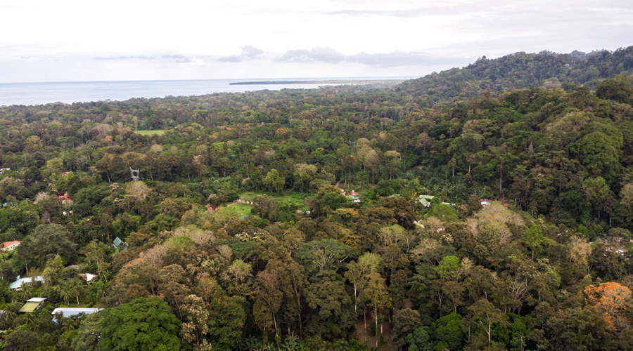 Costa Rica, Province de Limon, Cahuita, Terrain Selva de Lilan - Sud Est 2