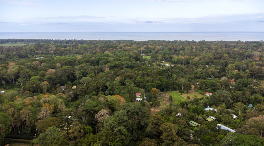 Costa Rica, Province de Limon, Cahuita, Terrain Selva de Lilan - Sud Est  et vue Mer