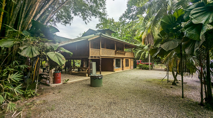 Costa Rica - Cahuita - Casa Bamb - Extrieur, les bambous