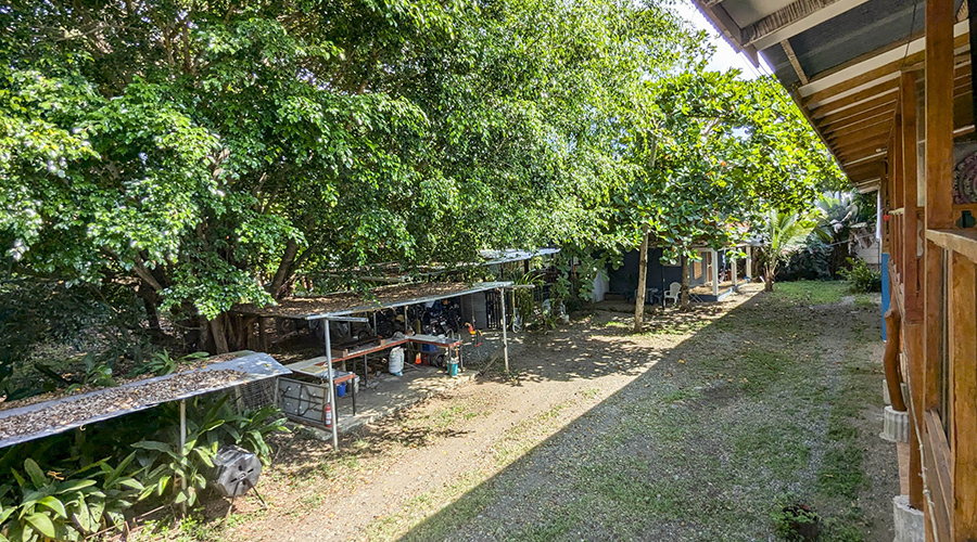 Costa Rica - Puerto Viejo - Ensemble locatif - Arrire des maisons locatives