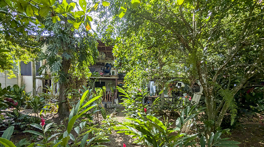 Costa Rica - Puerto Viejo - Ensemble locatif - Jardin