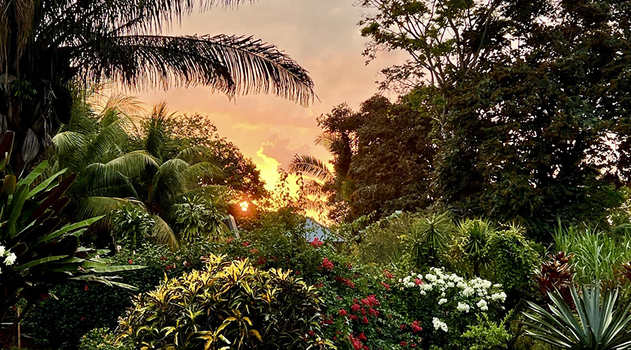 Costa Rica - Ojochal - Appartements Colibri 1 + 1 - Jardin - vue 3