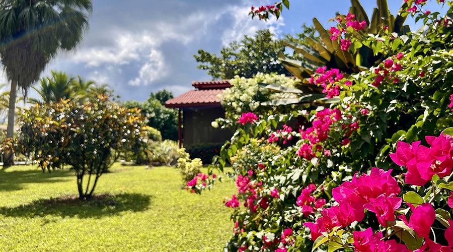 Costa Rica - Ojochal - Appartements Colibri 1 + 1 - Jardin - vue 5