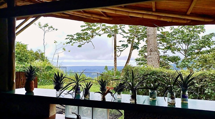 Costa Rica - Osa - Puerto Corts - Maison Oasis - Cuisine - vue 3