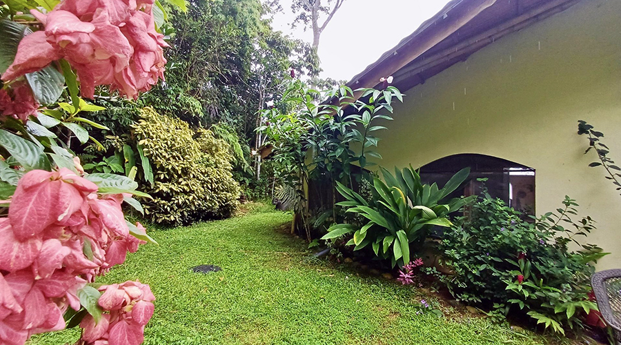 Costa Rica - Osa - Puerto Corts - Maison Oasis - Extrieur 5